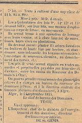 ECHO D ORAN N° 1 DU 12 OCTOBRE 1844 PAGE 004 E